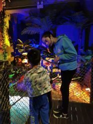 -恐龙探索乐园(磁器口店)