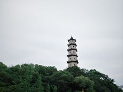 -江心屿景区