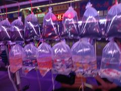 -华声天桥民俗文化园