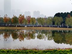 -天鹅湖体育公园