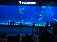 -烟台海昌鲸鲨海洋公园