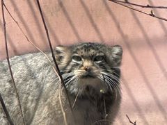 -青藏高原野生动物园