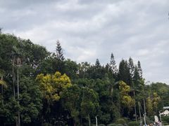 -人民公园(罗湖区)