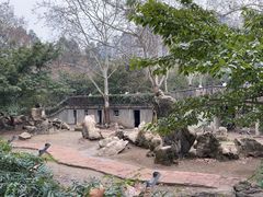 -成都动物园