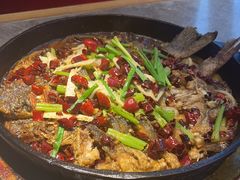 -老板恋上鱼(恒隆广场店)