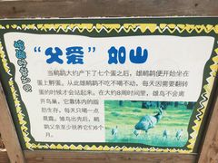 -深圳野生动物园