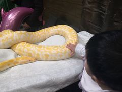 -西安秦岭野生动物园