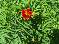 -一桶江山餐厅(松北店)