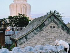 -妙应寺白塔