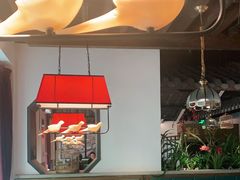 大堂-大鸽饭(岗顶店)