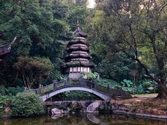 -深圳国际园林花卉博览园