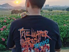 -光明小镇欢乐田园