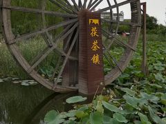 -茯茶镇
