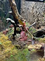 -酷嗒动物文化乐园(cutezoo西溪乐天城店)