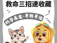 -瑞派天使宠物医院·神经外科·骨科·核磁(洛川中路店)