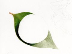 -东方童画少儿美术(莘庄体验馆)