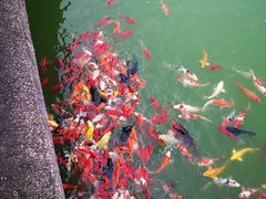 -茂陵博物馆