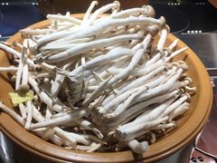 -龍歌自助小火锅(城阳万象汇店)