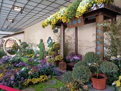 -杭州植物园
