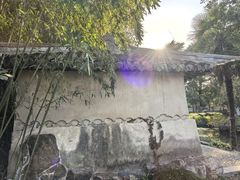 -水绘园