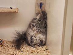 -龙猫仔乐园(惠福东路店)