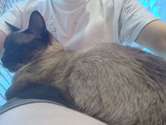 -藏猫猫咖啡主题馆(中央大道店)