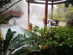 -咸宁万豪温泉谷度假区