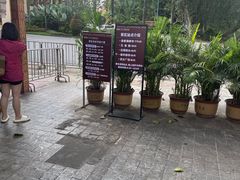 -西双版纳傣族园