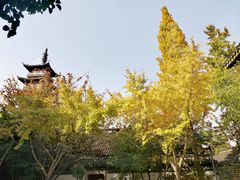 -秋霞圃
