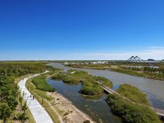 -春花秋色城市公园