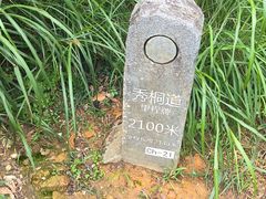 -梧桐山风景名胜区