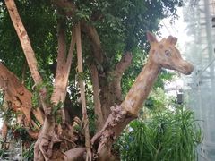 -北京植物园-展览温室