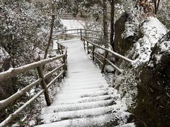 -东天目山风景区