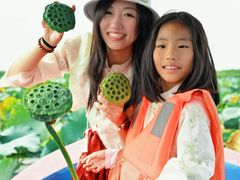 -白洋淀景区