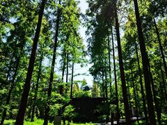 -黄海国家森林公园