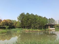 -尚贤河湿地