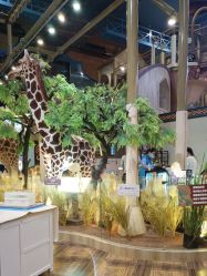 -卡通尼·Safari非洲探索乐园·生日会(金桥国际商业广场店)