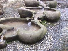 -成都市活水公园