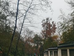 -北极阁公园