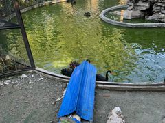 -保定市动物园