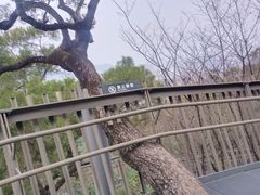 -福道