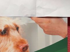 -爱侣宠医·鹦鹉专科·小型哺乳类·异宠专科(灵石路店)