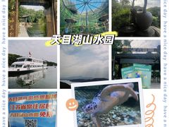 -天目湖山水园