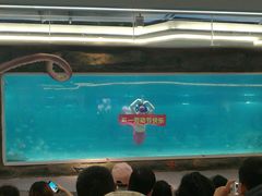 -绍兴梦享海洋公园