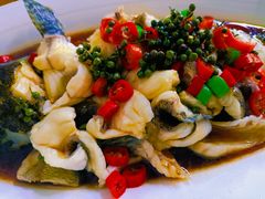 -道南書院·私房菜·早午茶·茶馆