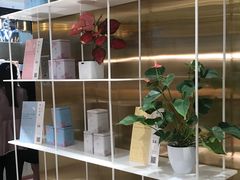 -奈雪的茶(新天地广场PRO店)