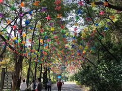 -广州市帽峰山景区