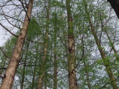 -东坡赤壁风景名胜区