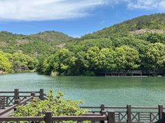 -白马涧龙池景区
