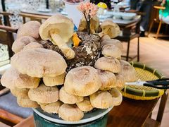 活体松香菇-捞王锅物料理(上海世茂广场店)